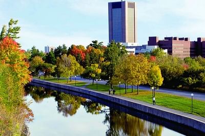 Bachelor of Global and International studies - Global Religions: Identity and Community