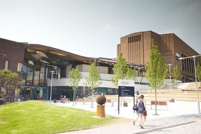 MSc Business and Management