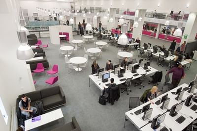 Business Management and Human Resource Management - BA (Hons)