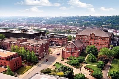 Bachelor in Economics