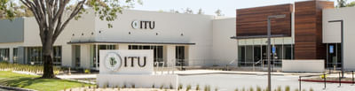 International Technological University
