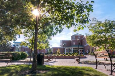 Bachelor in Individualized Studies - Hospitality Management