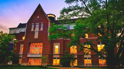 Bachelor of Arts [B.A] Psychology