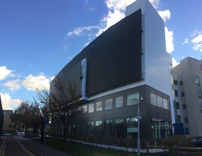 International Year One Business