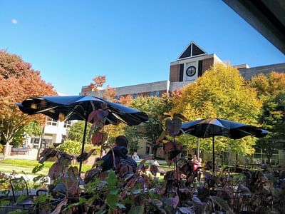 Bachelor of Arts in Operations Management and Business Analytics