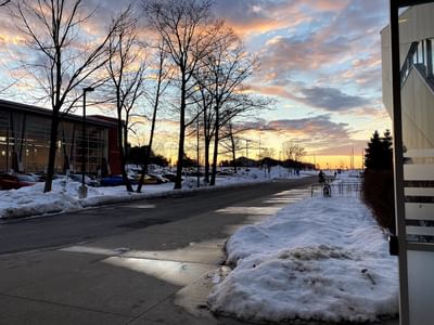 Mental Health – Interprofessional Practice Ontario College Graduate Certificate