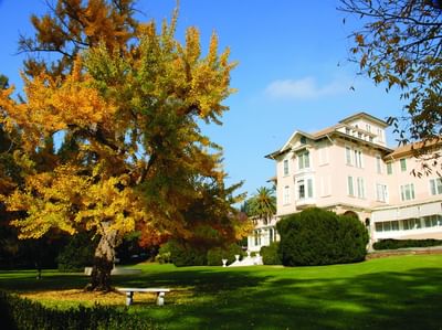 Bachelor Of Arts [B.A] Psychology