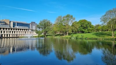 International Year One in Business