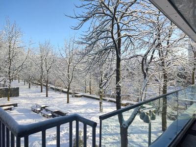 Master International Marketing and Brand Management