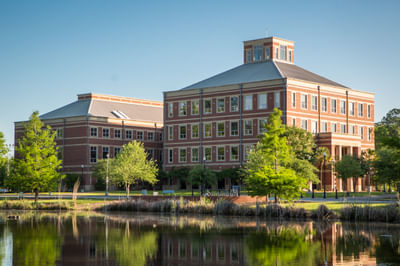 Bachelor Of Science [B.S] Psychology