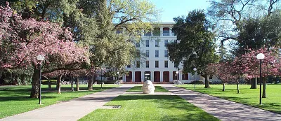 Bachelor of Chemistry