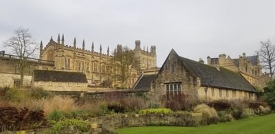 Pre-Master's - Business