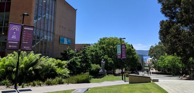 International First Year Diploma Business