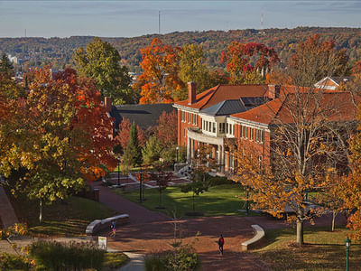 Bachelor of Arts [B.A] Psychology