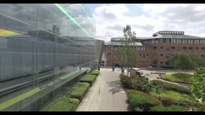 MSc in International Business