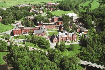 Bachelor in International Business (B.B.A.)