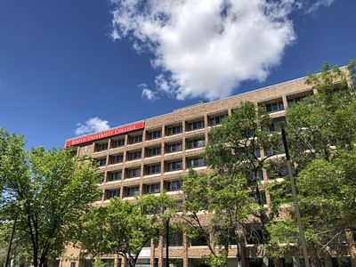 Bachelor in Psychology