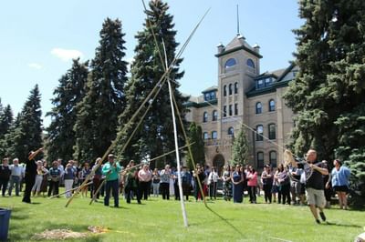 Bachelor in Psychology (B.Sc.)