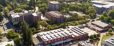 Bachelor of Arts [B.A] Psychology