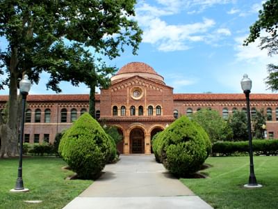 Bachelor of Arts [B.A] Geography