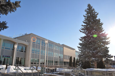 Diploma in Arts visuels - profil beaux-arts