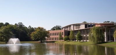 Master of Business Administration