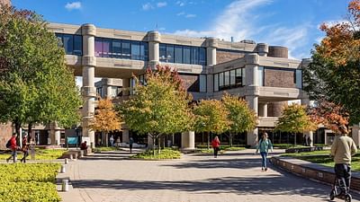 Bachelor Interior Design