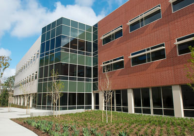 Master of Science [M.S] Marketing