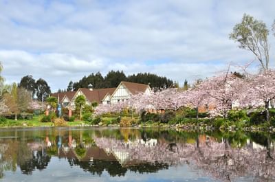 Graduate Diploma of Contemporary International Studies