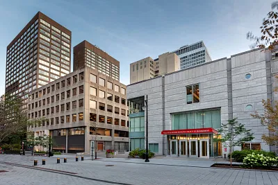 Bachelor in Management