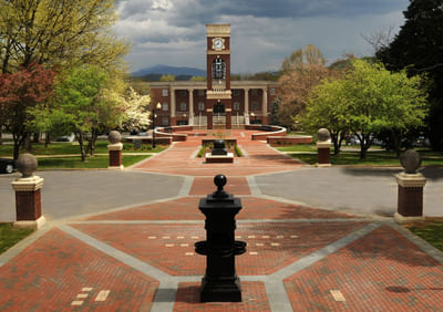 Bachelor Of Business Administration [B.B.A] Economics