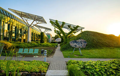 BBA Integrated Degree Program (Business Administration to Bachelor of Business Administration)