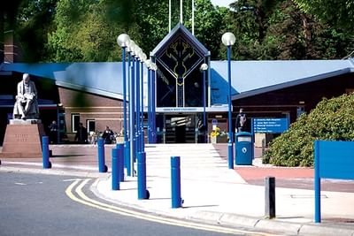 MSc International Business Management