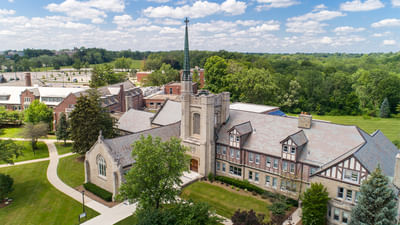 Bachelor in Political Science