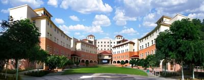 Bachelor of Business Administration [B.B.A]