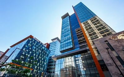 Diploma in Chartered Professional Accountancy