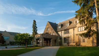 Bachelor in Management and Organizational Study