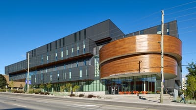 Bachelor in Economics