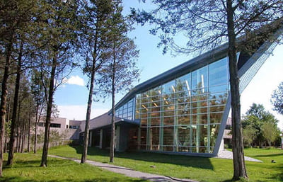 Diploma in Journalism