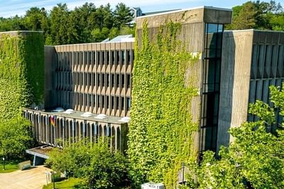 Bachelor in Computer Science