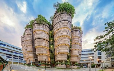 Bachelor of Business