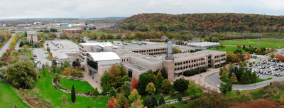 Diploma in Computer Programming