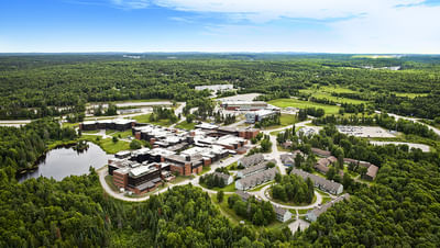 Bachelor in Psychology (BSc)