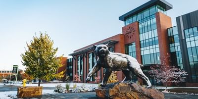 Bachelor Environmental Science