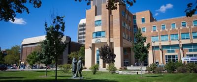 Master in Professional Accounting