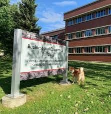 Doctorate in International Management and Organization