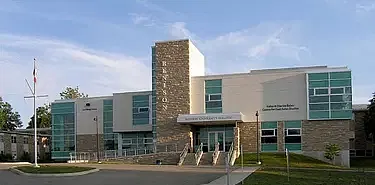 Bachelor in Psychology