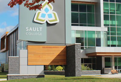 Global Business Management