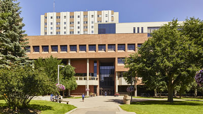 Master in International Business