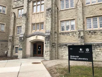 Master in Master of Public Health